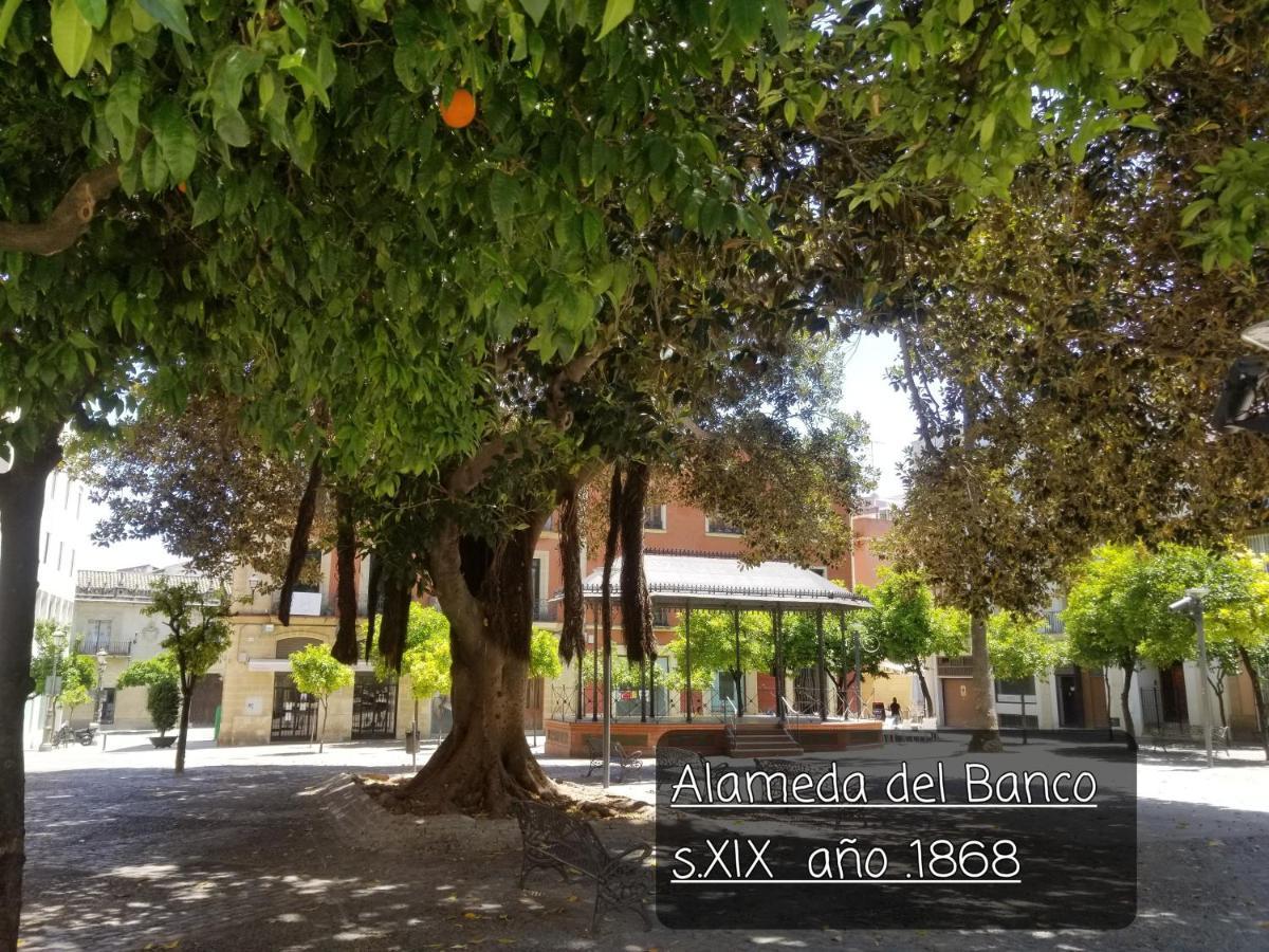 Jerez Centro Historico Leilighet Jerez de la Frontera Eksteriør bilde
