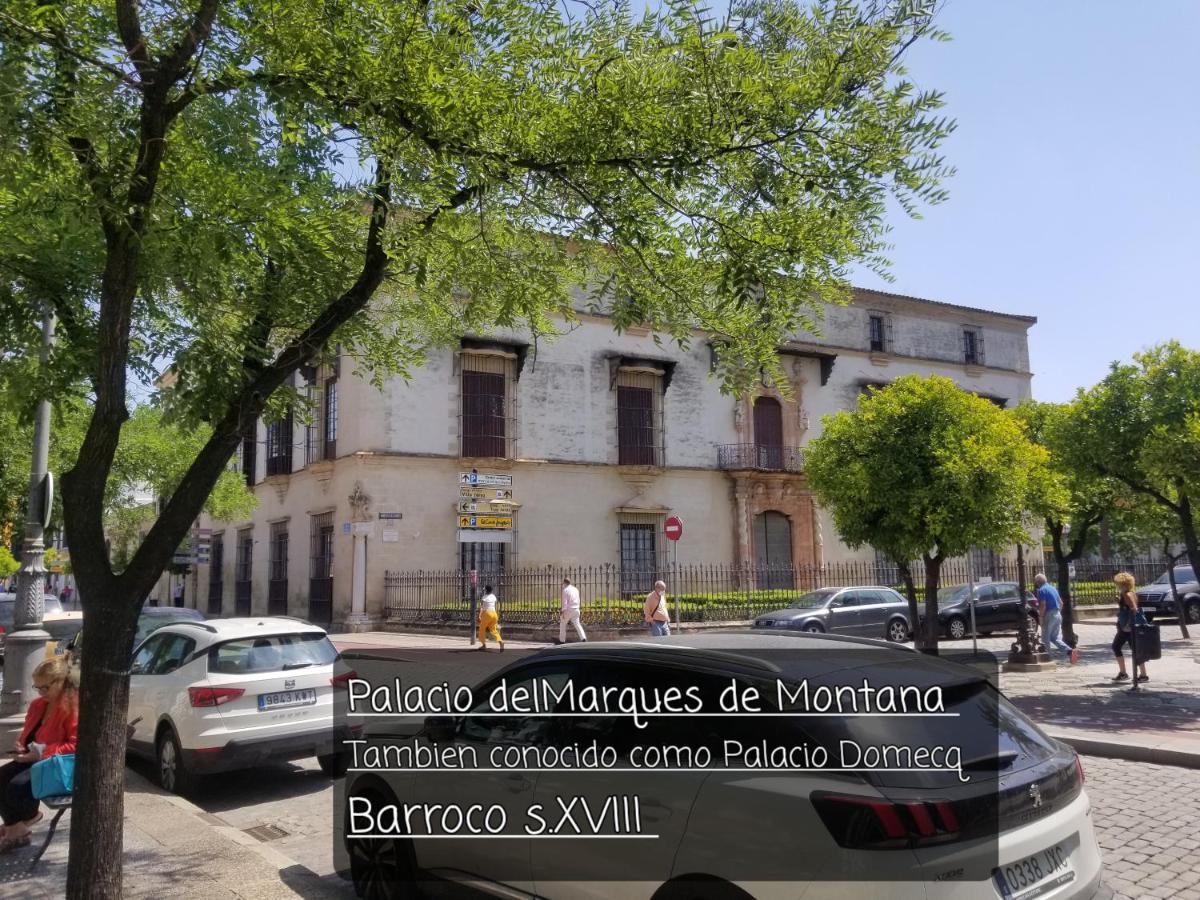 Jerez Centro Historico Leilighet Jerez de la Frontera Eksteriør bilde